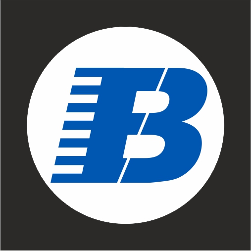 Bharat Vision Automation Logo